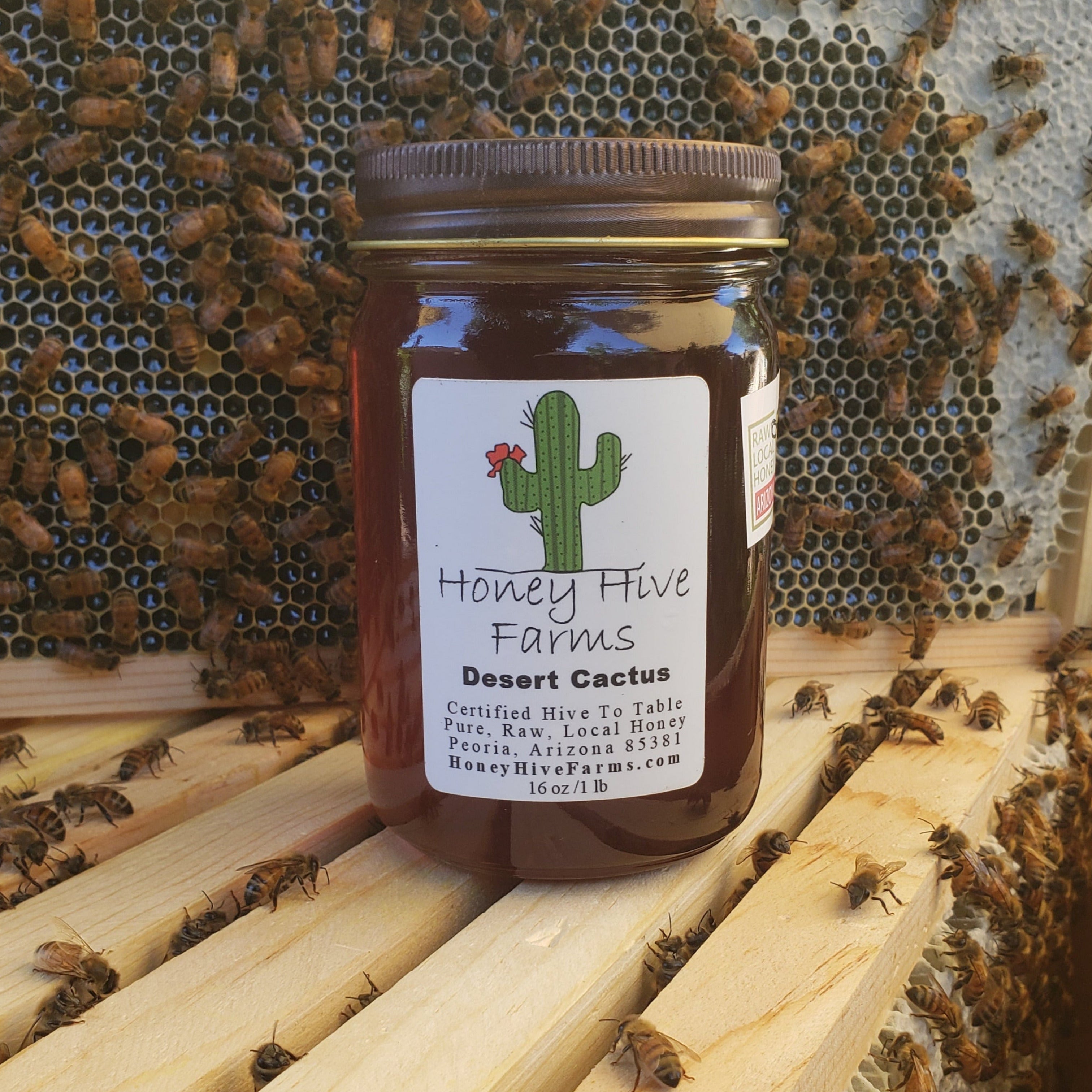 Cactus Honey — Honey Hive Farms