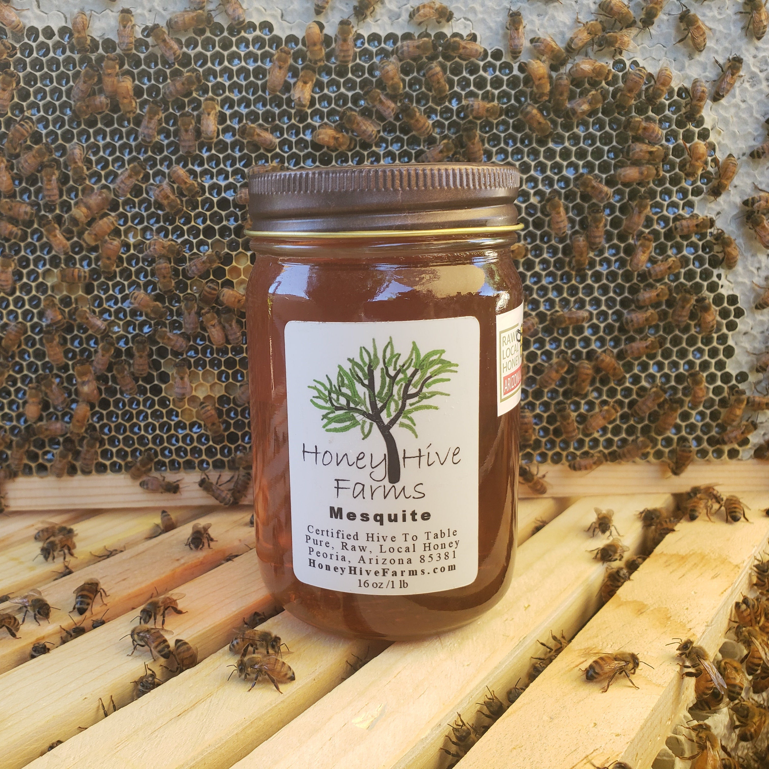 Mesquite Honey — Honey Hive Farms