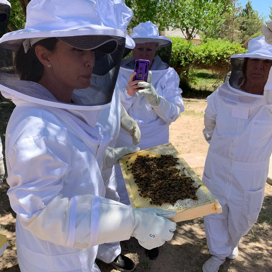 Introduction to Beekeeping, Hand-On Experience